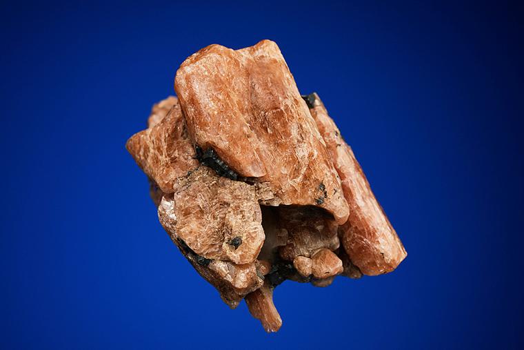 BUSTAMITE